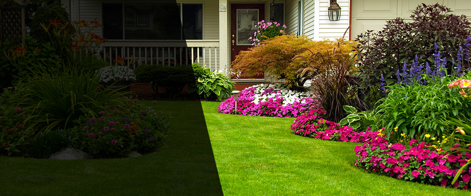 Camp Verde Landscapers