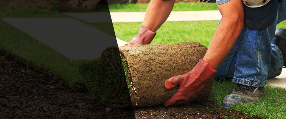 Camp Verde Landscapers